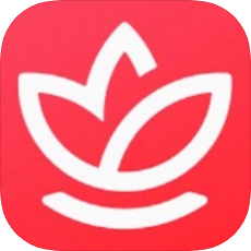shell32.dll 