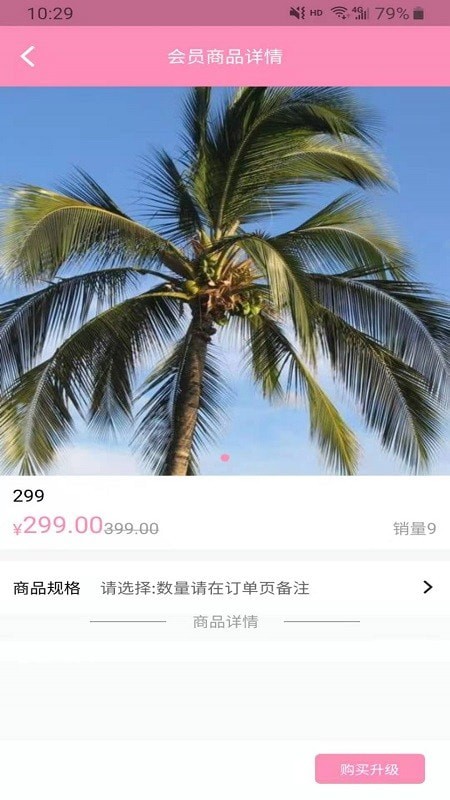 布吉島4