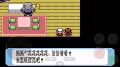 口袋妖怪紅寶石全隨機2