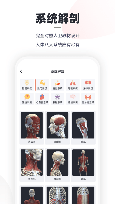 口袋解剖1