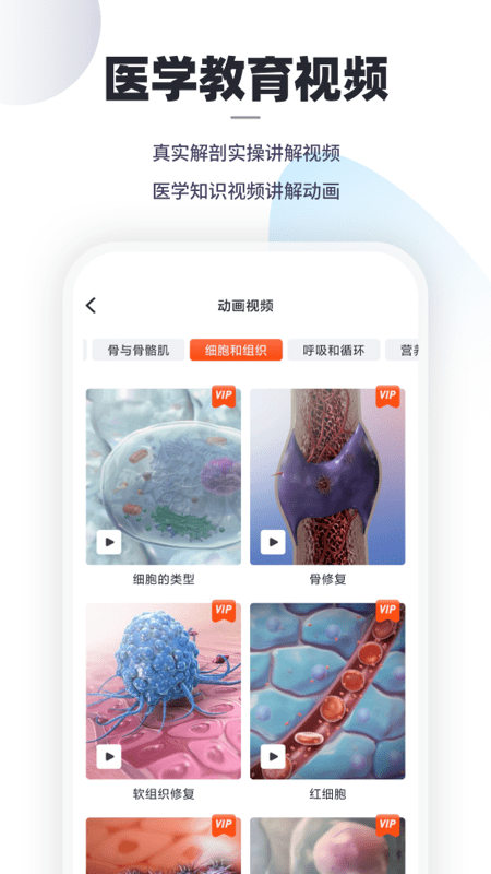 口袋解剖2