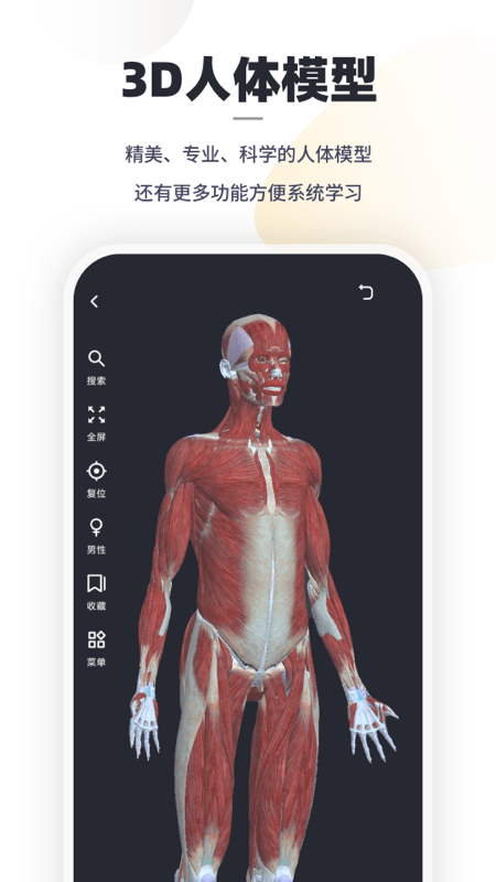 口袋解剖3