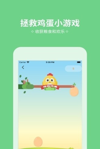 小雞來了1