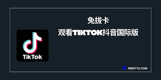 國(guó)內(nèi)如何下載TikTok