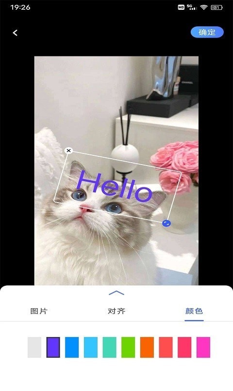 小豬翻譯器2