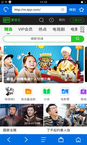 寰宇瀏覽器4