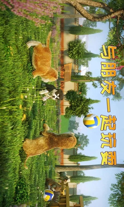 小貓歷險記4