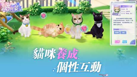 喵與筑臺(tái)服3