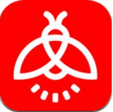 shell32.dll 