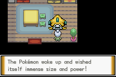 口袋妖怪無界Pokemon Unbound完結版6
