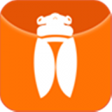 shell32.dll 