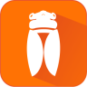 shell32.dll 