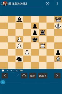 國際象棋對戰(zhàn)4