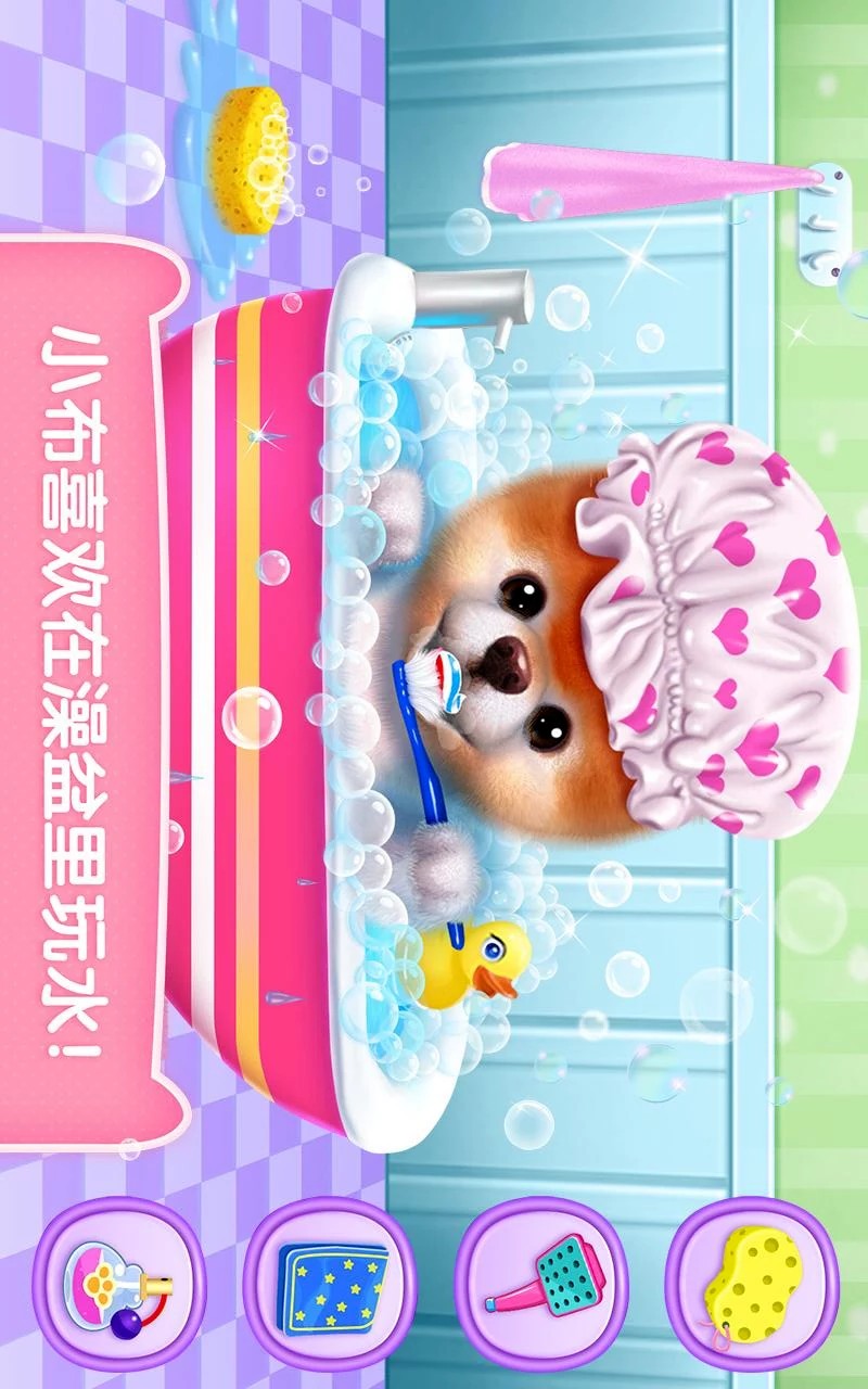 可可公主寵物小布4
