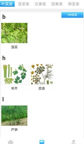 口袋菜農(nóng)4