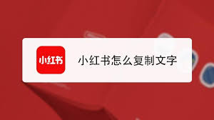 小紅書(shū)如何復(fù)制他人文案