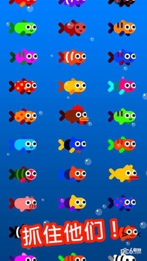 Fish Trip游戲4