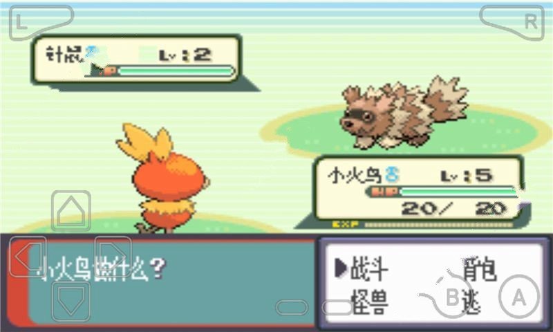 口袋妖怪綠寶石全隨機1