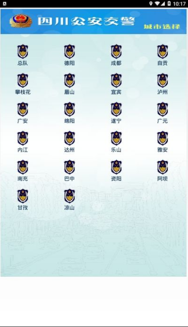 四川公安交警公共服務(wù)平臺3