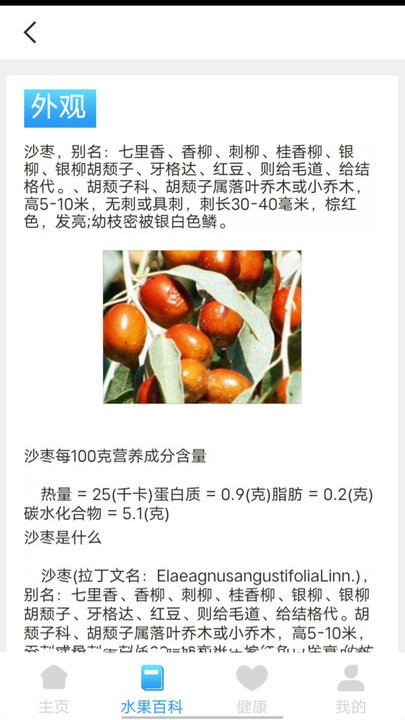 口袋水果知識(shí)科普3