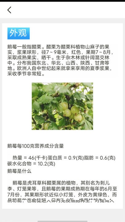 口袋水果知識(shí)科普4