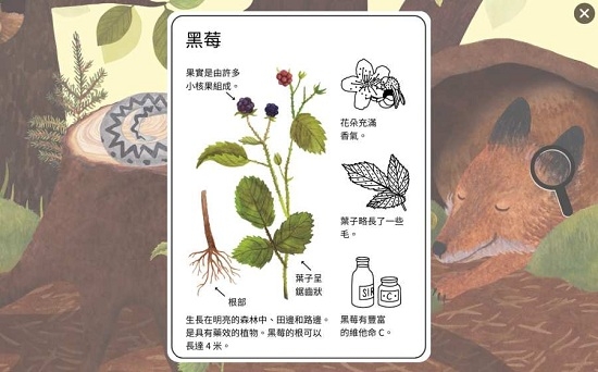 小棕鼠的自然生態(tài)百科2