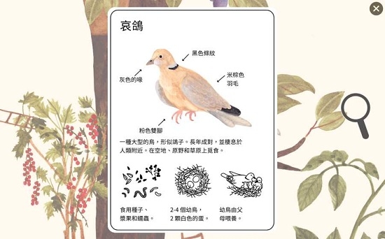 小棕鼠的自然生態(tài)百科3