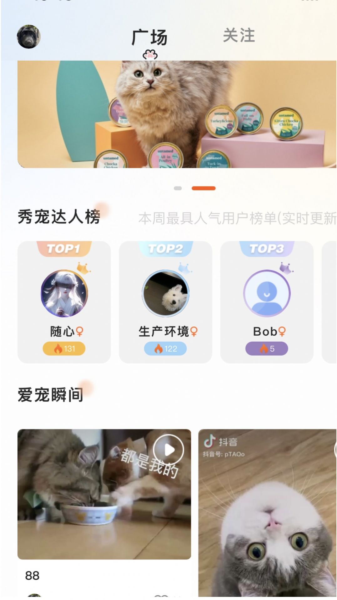 哆伽寵2
