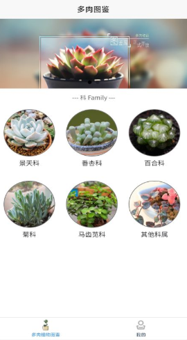 嘟嘟多肉植物鑒1