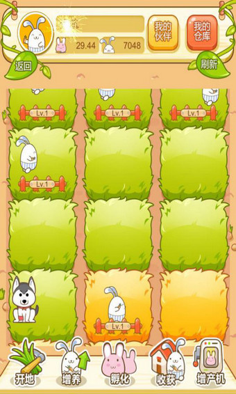 吉祥兔v2.34