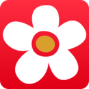shell32.dll 