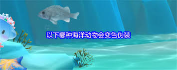 哪種海洋動物會變色偽裝