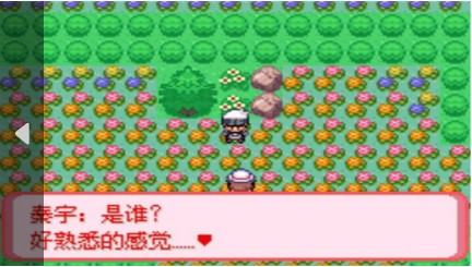 口袋妖怪 暗古神壇6.0 Another Result（悟飯）4