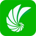 shell32.dll 