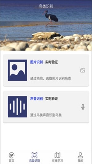圖音識(shí)鳥(niǎo)2