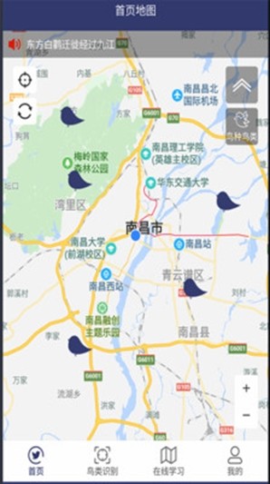 圖音識(shí)鳥(niǎo)3