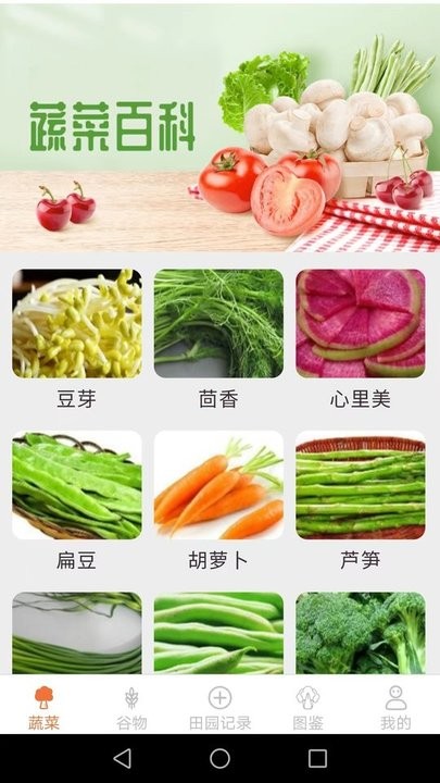 口袋田園百科知識1