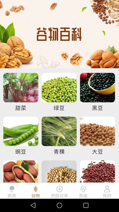 口袋田園百科知識2