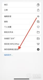 iphone手機如何設(shè)置通話錄音為鈴聲