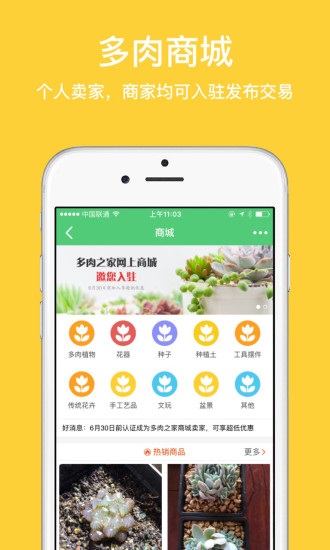 多肉之家2
