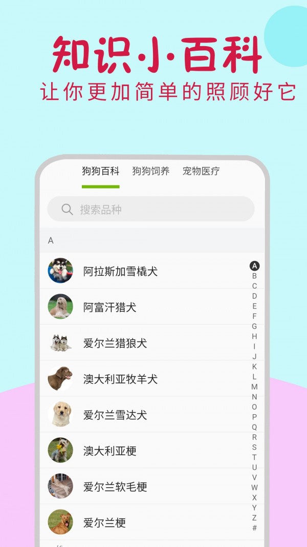 小狗翻譯器3