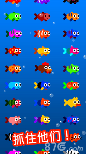 Fish Trip4