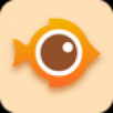 shell32.dll 