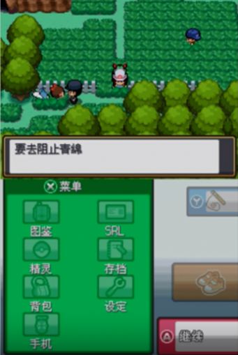 口袋妖怪起源心金2
