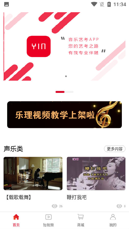 善國(guó)音樂(lè)藝考中文版2