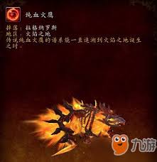 魔獸世界：純血火鷹獲取方法與途徑