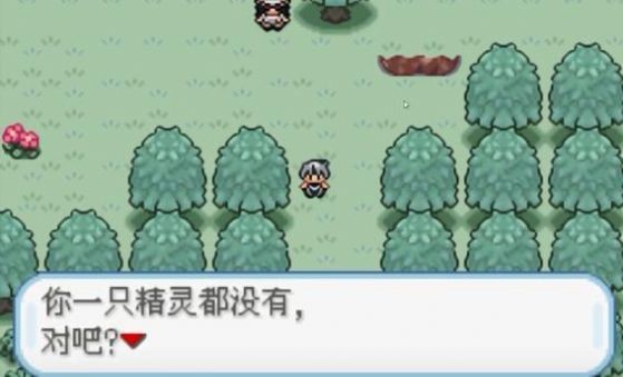 口袋妖怪火箭隊(duì)1