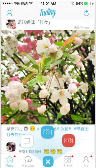 圖釘1