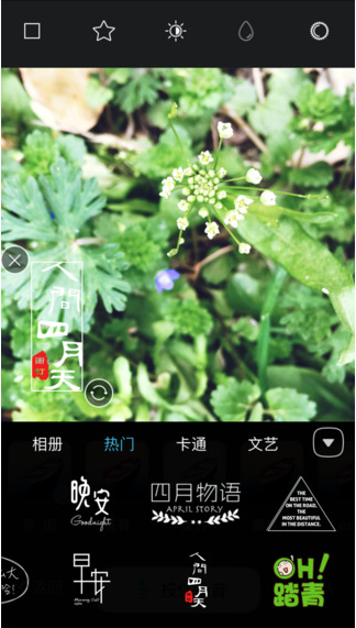 圖釘2