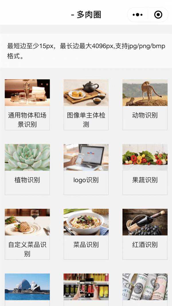 多肉圈2